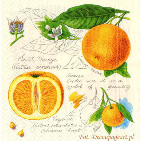 Serwetki do decoupage - sweet orange