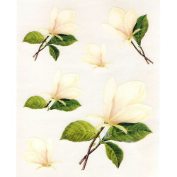 Kalkomania Arte - magnolie
