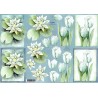 Motywy 3D do dekorowania Quincy 022 - białe nenufary i tulipany