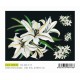 Papier Artistico Mini Soft Lilies Crescendo 25X35 517