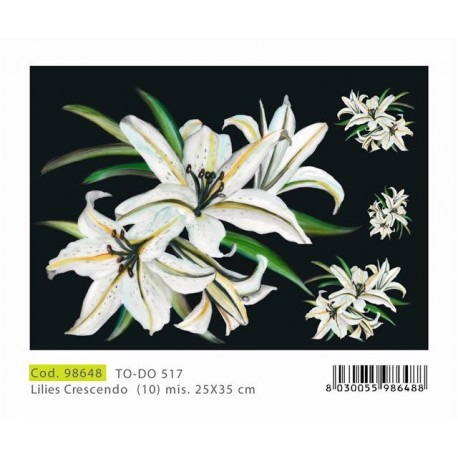 Papier Artistico Mini Soft Lilies Crescendo 25X35 517
