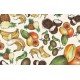 Papier Tassotti do decoupage 50x70 cm - Owoce tropikalne