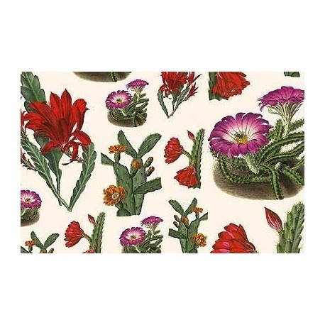 Papier Tassotti do decoupage 50x70 cm - Kwiaty kaktusów