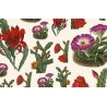 Papier Tassotti do decoupage 50x70 cm - Kwiaty kaktusów