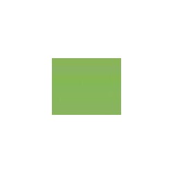 Papier kartonowy kolorowy A4 130 gr - jasno-zielony