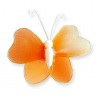 Motylek druciany - pomarańczowo-biały
