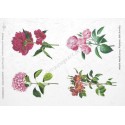 Papier ryżowy ITD Collection 0123 - Kwiaty Krystyny 2