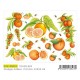 Papier Artistico Mini Oranges & Bees 25X35 029