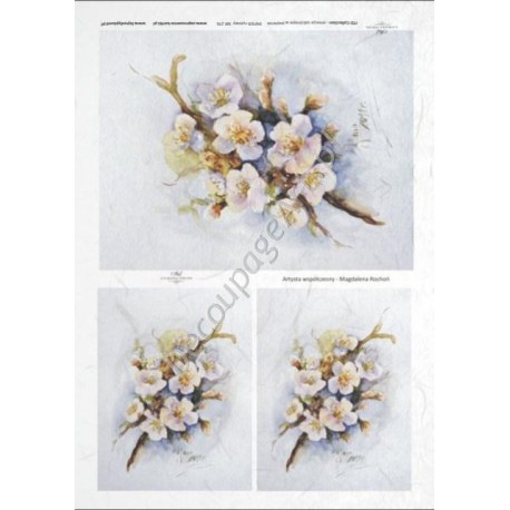 Papier ryżowy ITD Collection 276 - Kwiaty jabłoni
