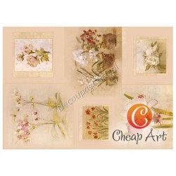 Papier do decoupage soft Cheap-Art A4 Delikatne storczyki