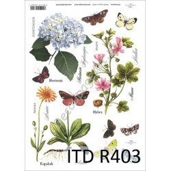 Papier ryżowy ITD Collection 0403 - Zioła i motyle