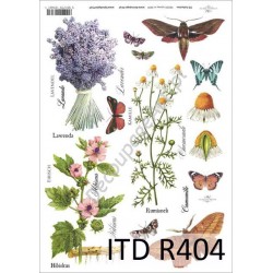 Papier ryżowy ITD Collection 0404 - Zioła i motyle