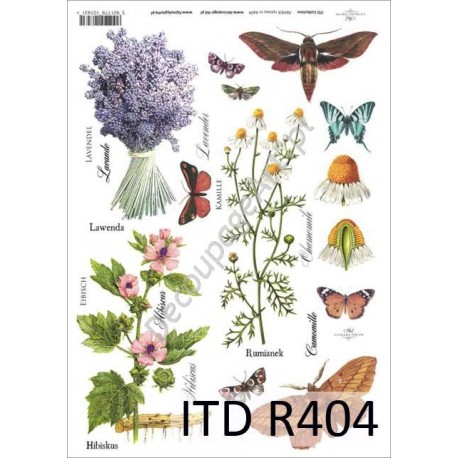 Papier ryżowy ITD Collection 404 - Zioła i motyle