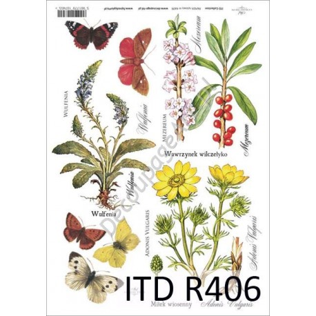 Papier ryżowy ITD Collection 406 - Zioła i motyle