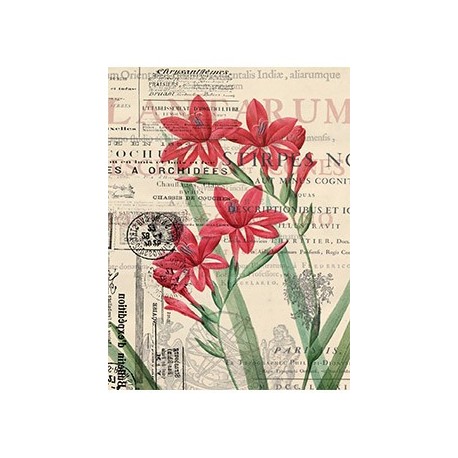 Papier Ryżowy Cadence 056 Kwiaty i pismo