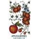 Kalkomania artystyczna - Apples & Blueberries