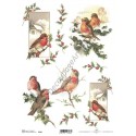 Papier ryżowy ITD Collection 0595 - Zimowe ptaszki