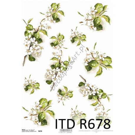 Papier ryżowy ITD Collection 678 - Kwiaty jabłoni