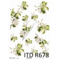 Papier ryżowy ITD Collection 0678 - Kwiaty jabłoni