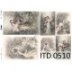 Papier do decoupage ITD 510 - Damy vintage