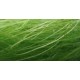 Sizal motek 50 g - jasno zielony