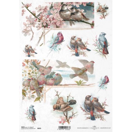 Papier ryżowy ITD Collection 859 - Wiosenne ptaki