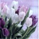 Serwetki do decoupage - tulipany